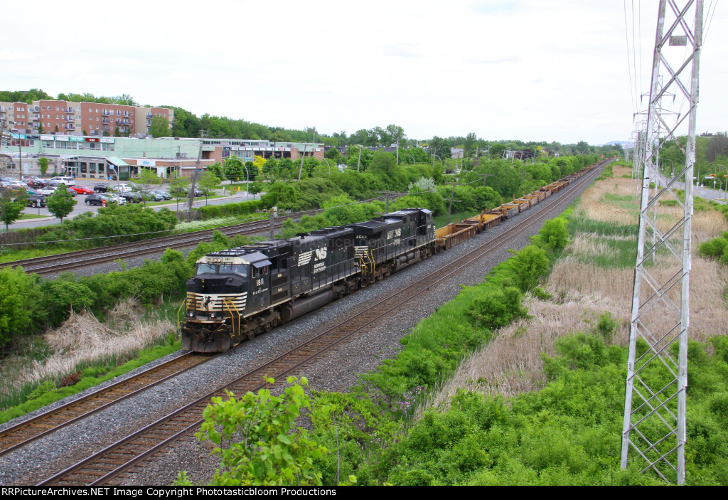NS 1811